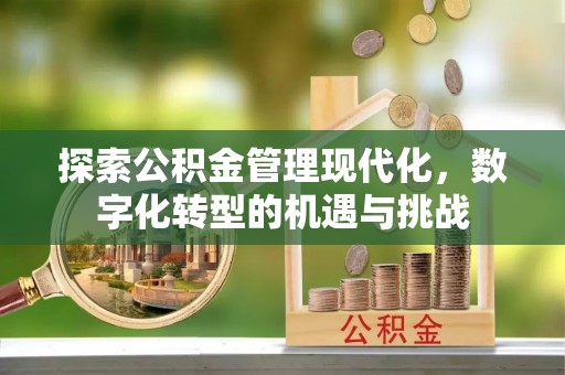 河东探索公积金管理现代化，数字化转型的机遇与挑战