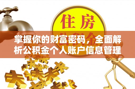 河东掌握你的财富密码，全面解析公积金个人账户信息管理与优化